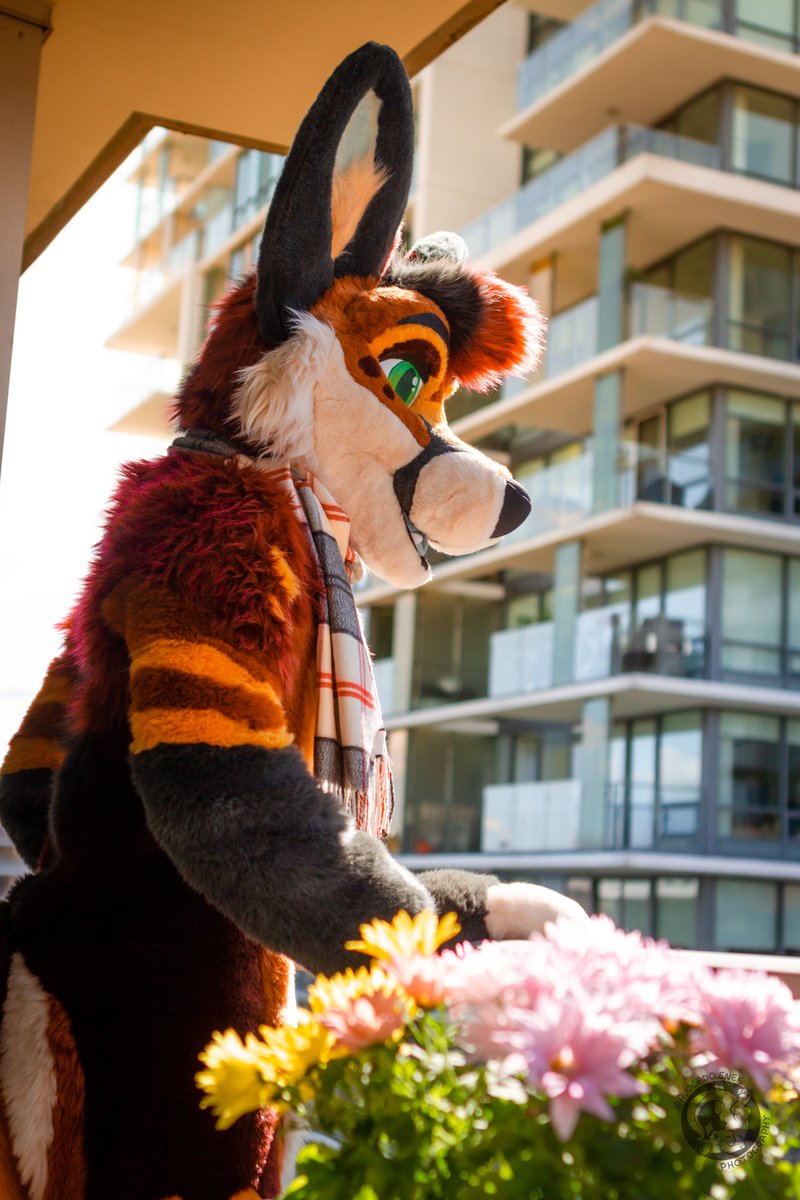 Spring is in the air~
#FursuitFriday 

📸: <a href="/AvocadoSnek/">avocadosnek.bsky.social</a> 
🧵: <a href="/BlueHarborC/">Blue Harbor 🌊⚓️</a>