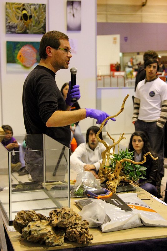 Acuariofiliamad's tweet image. Recordamos a Filipe Oliveira @FaaoAquascaping con esta entrevista que concedió a Acuariofilia Madrid: acuariofiliamadrid.org/Thread-Entrevi…

¡Un grande!

#AcuariofiliaMadrid #aquascaping #FAAO #FilipeOliveira #entrevista #acuarioplantado