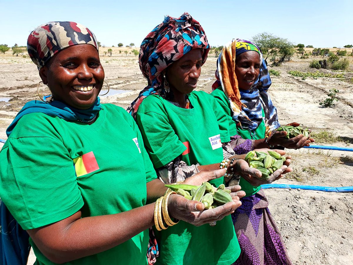 iomchad's tweet image. Dans la province du Lac au #Tchad🇹🇩, une coopérative féminine a reçu des terres agricoles, des formations et des outils pour cultiver et mieux s&apos;intégrer dans leurs communautés d&apos;accueil. 

C&apos;est l&apos;une des #SolutionsDurables expérimentée par l&apos;OIM. 

🔗bit.ly/3EL0LGb