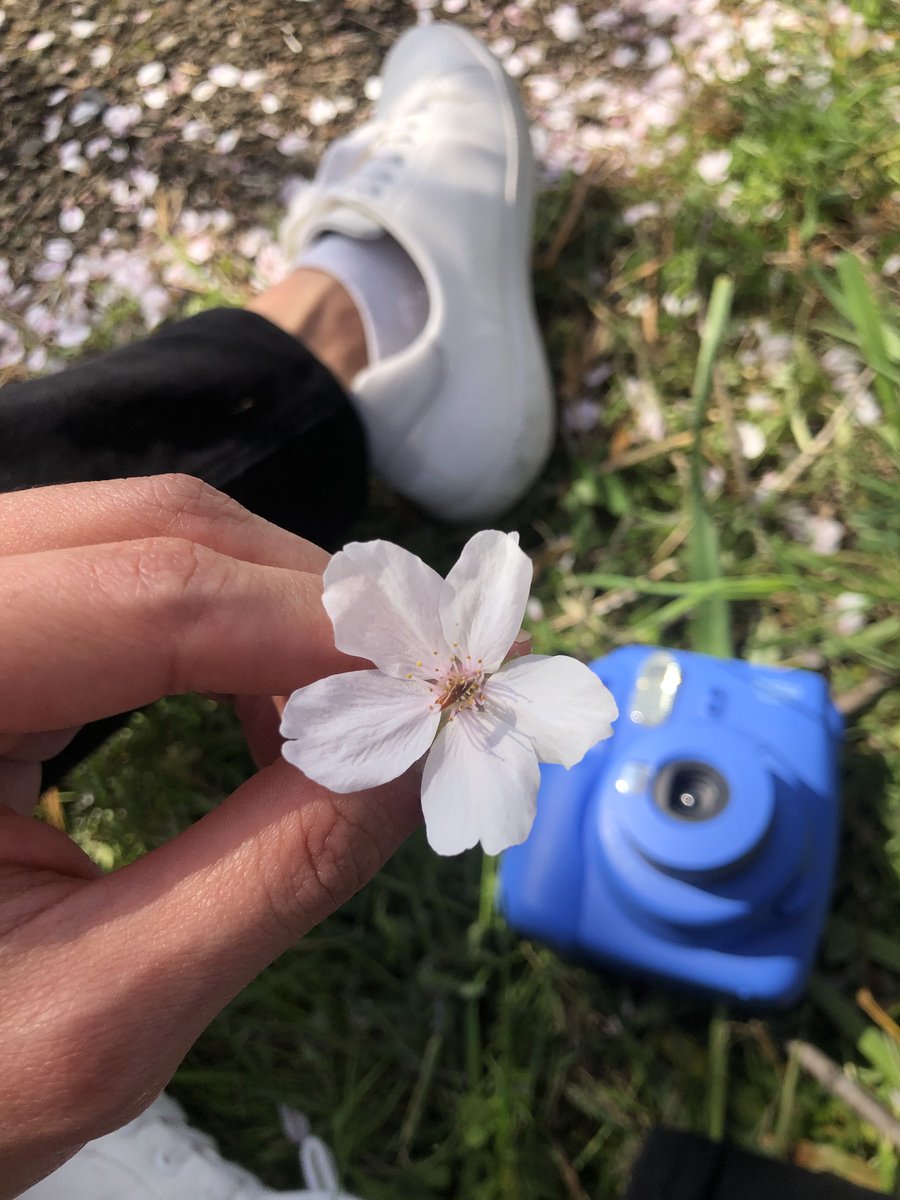 hakeemjaffriaaz's tweet image. 私だけを見てくれたね🤍

#spring23