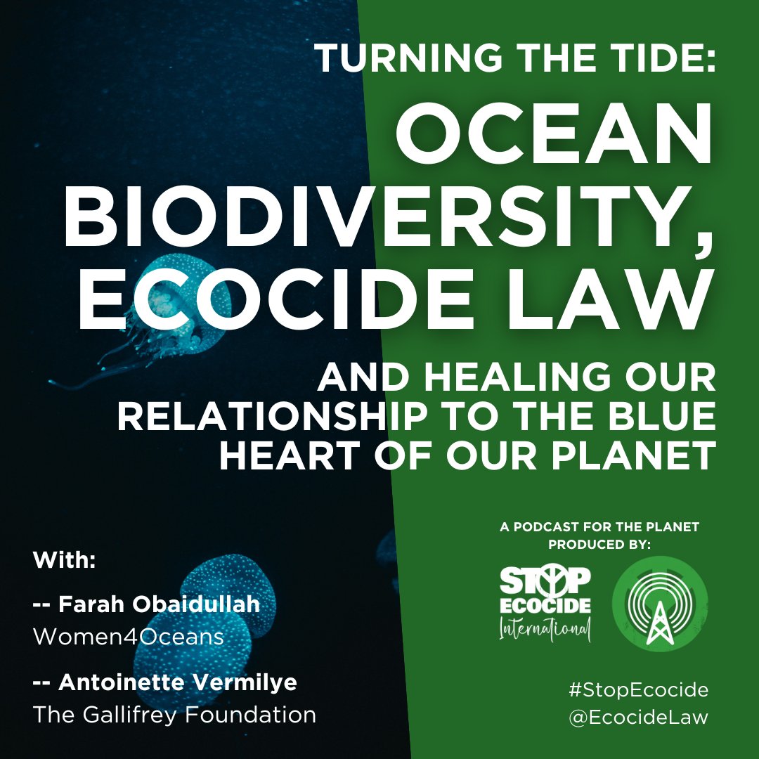 EcocideLaw's tweet photo. The latest episode of @StopEcocideCan's #PodcastForThePlanet is now live!
‘Turning the Tide: Ocean Biodiversity, Ecocide Law and Healing Our Relationship to the Blue Heart of Our Planet’
Listen here: https://t.co/SpDrkARHHf
#StopEcocide #EndEcocide https://t.co/1CKMXQM8Xa