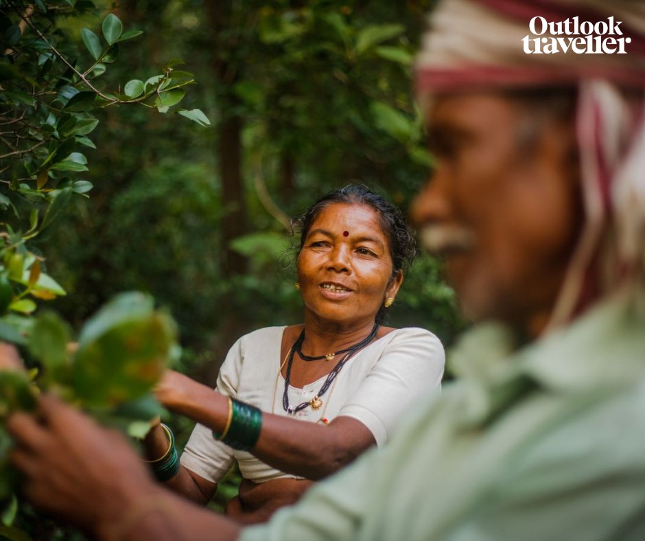 oltraveller's tweet image. Every year, several festivals are held across India that celebrate, and raise awareness about, local food through workshops, talks, and live performances. 

Photo Credit: Sanjiv Valsan

#OutlookTraveller #localcommunities #Biodiversity  #sustainability 

outlookindia.com/outlooktravell…