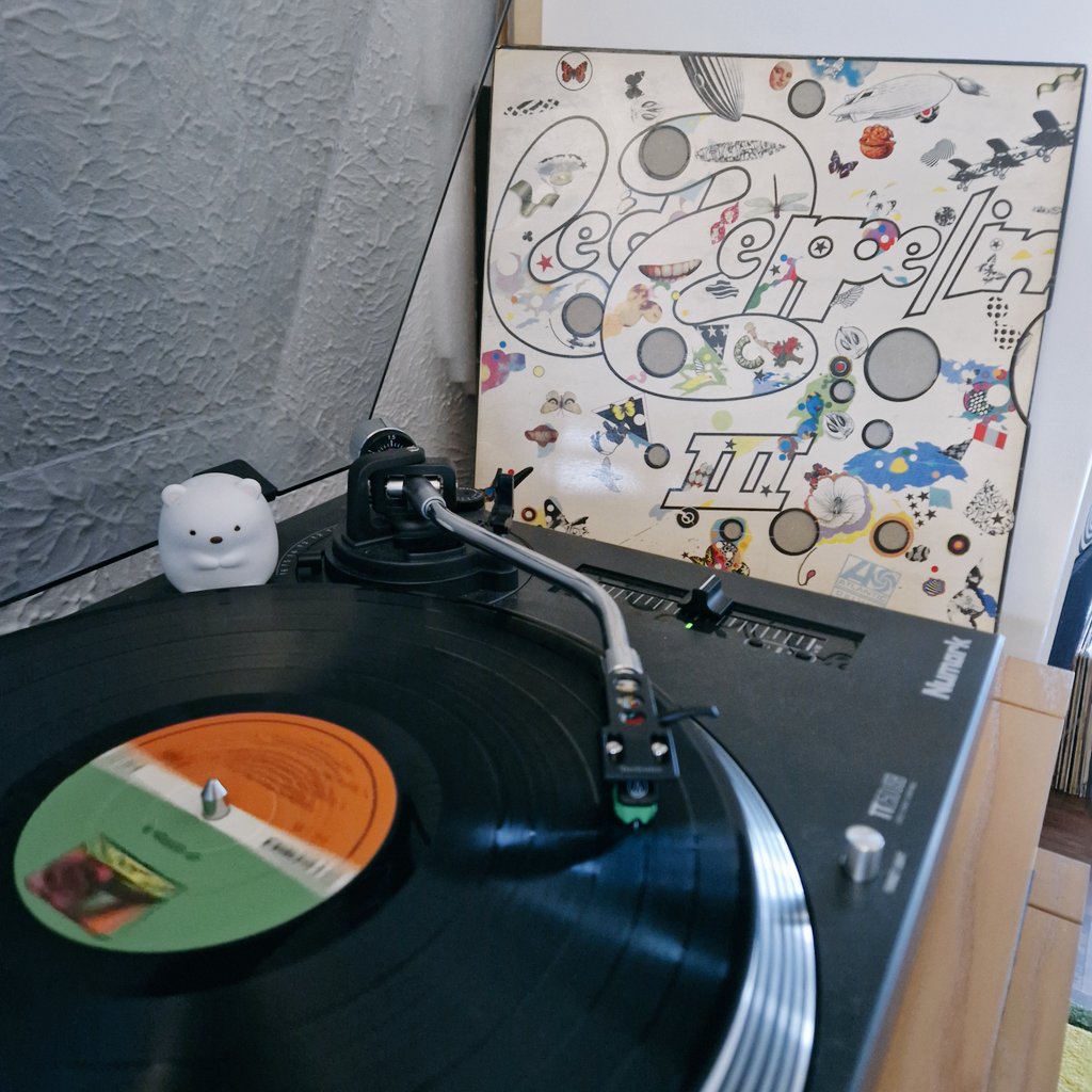 Brighter Day Record Shop tweet media