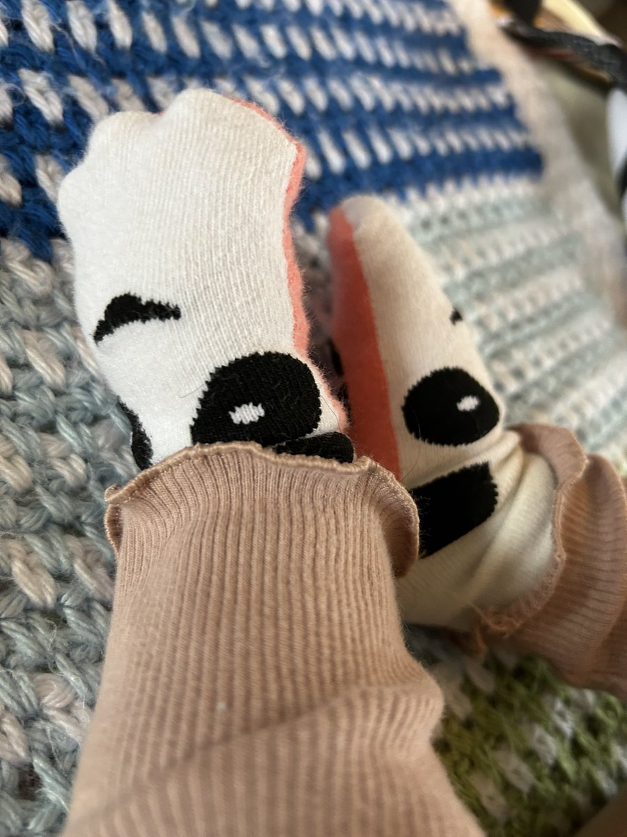 Skye absolutely loves her special <a href="/CESocks/">Critically Endangered Socks</a> which keep her toes warm and also help support <a href="/wwf_uk/">WWF UK</a> to save species around the world 🌎 Such a lovely gift to receive from our friends who also launched this paw-some company to make a difference! 💙 criticallyendangeredsocks.com