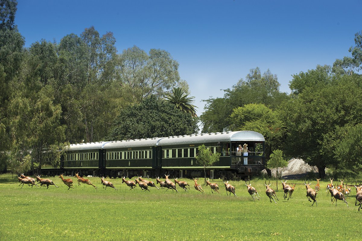 beckymelbourne's tweet photo. 🗺Luxury Vic Falls, Rovos Rail &amp; Cape Town   
✨10 nights from £5699 per person, saving up to £1200 per person. 
🗓Travel between 2 August 2023 - 1 November 2023

🌄3 nt Victoria Falls Safari Club, Victoria Falls - Club room Br - https://t.co/YHI56h6Lbt https://t.co/6hqnmSsVSh