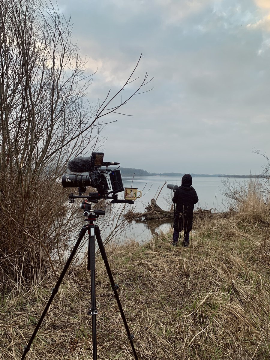 Adam Lach tweet media