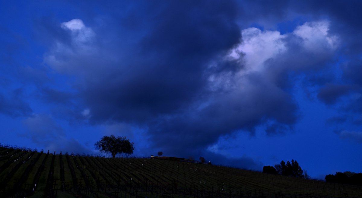 kentphotos's tweet photo. Someday, I'll put out a book on blue hour. Alexander Valley, Thursday evening in #SonomaCounty. @Northbaynews #CAwx https://t.co/HhzakOJQaI