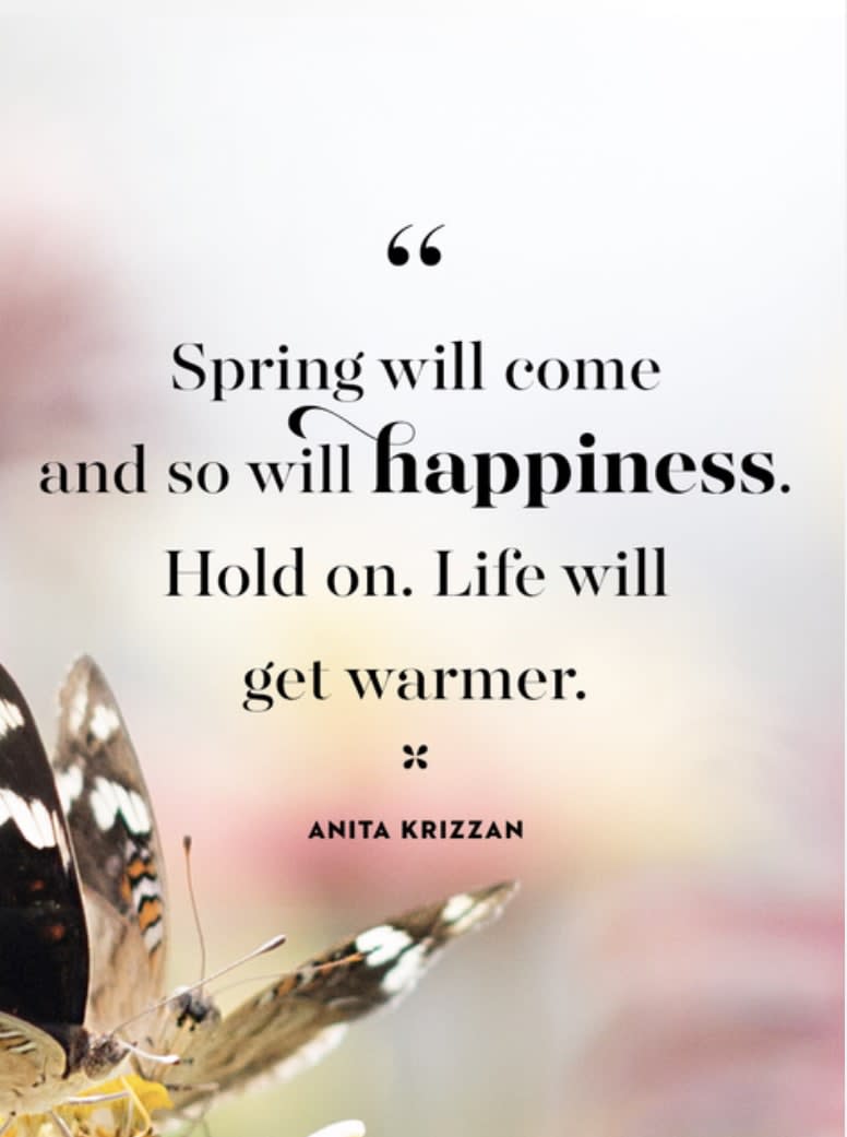 RaHSefton's tweet photo. 🦋🌷🌼🐥🐰 #spring2023 #springishere https://t.co/mSSCWlF5Uh