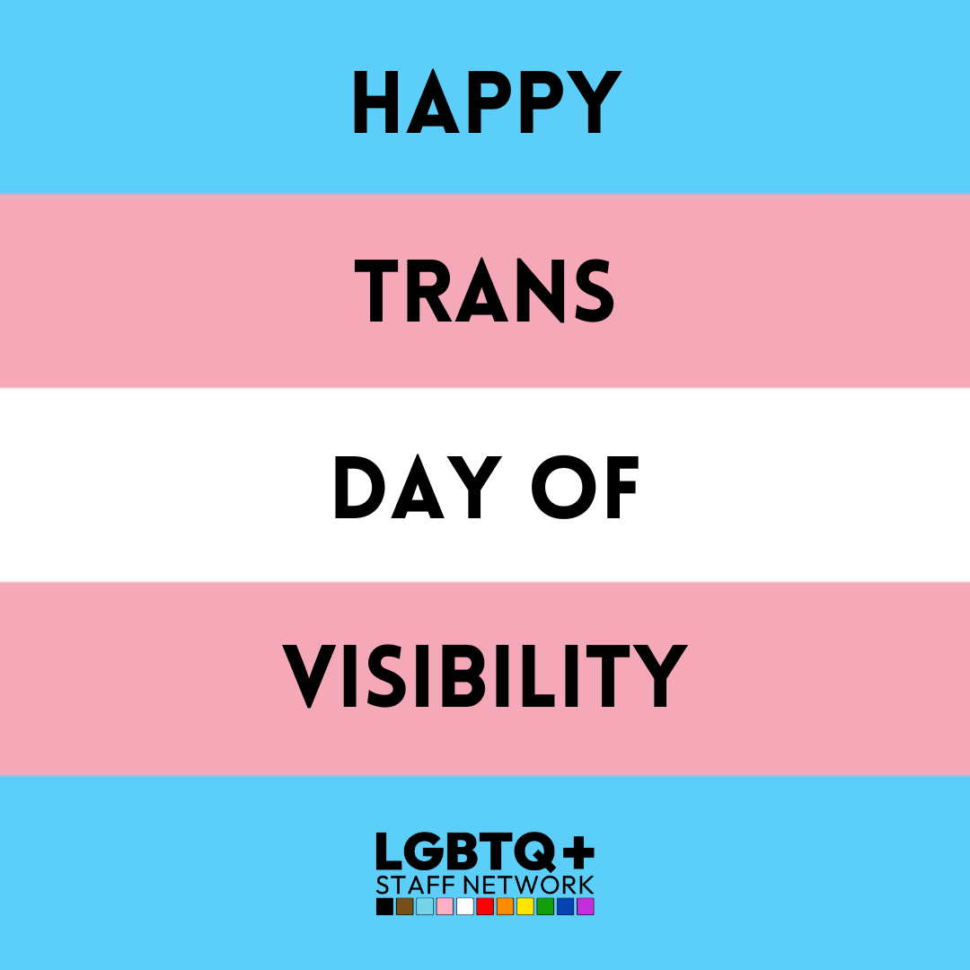Happy #TDOV to all of our trans and gender non-conforming colleagues! We see you and we celebrate you 🏳️‍⚧️