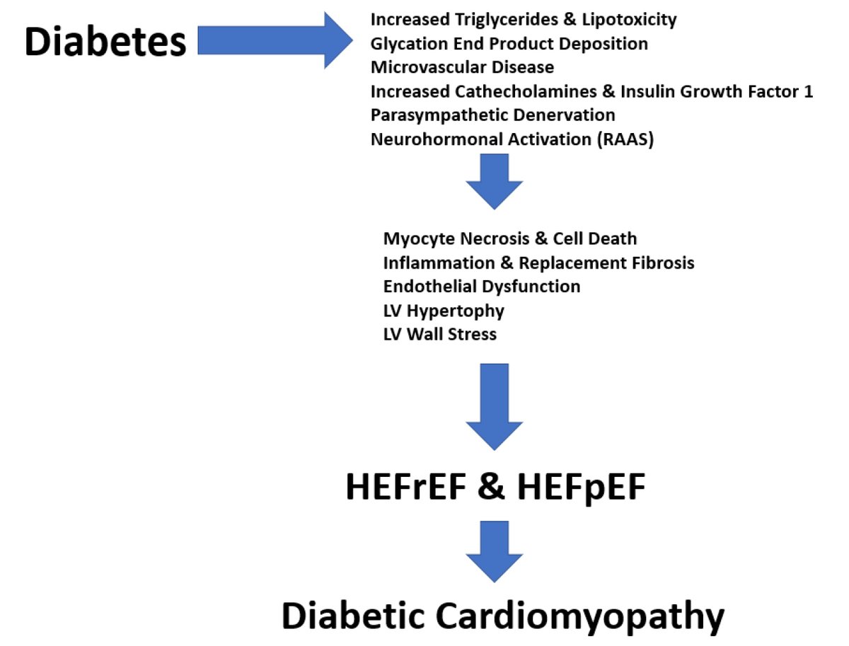 How diabetes alters the prognosis of patients with heart failure and the impact of therapies. This is an exciting area of rapidly expanding research, and further trials looking at these benefits are underway. Read More: ow.ly/sSYQ50NtVWF @sadiahasnain