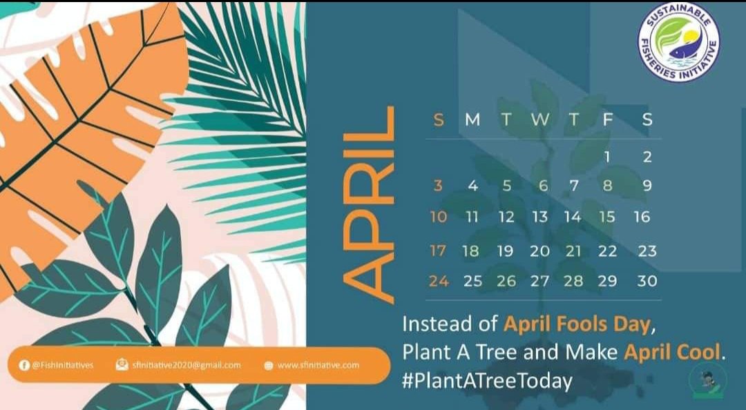 AquaTreeProject's tweet image. Just Plant A Tree !
Make April cool
#treeweek2023
#AquaTreeProject
#PlantingAMillionTrees
#SavingLakeVictoria
