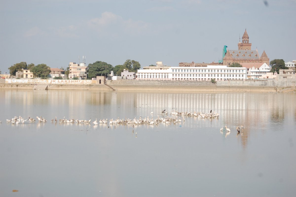 themrityu's tweet photo. The #Hamirsar lake, which borders these cenotaphs, has been the lifeline of #Bhuj for many centuries. The founder of the Bhuj kingdom, Rao Khengarji-I decided to build this lake in the name of his father, Rao Hamir, the founder of Bhuj. 13/ https://t.co/L30BE46WIf