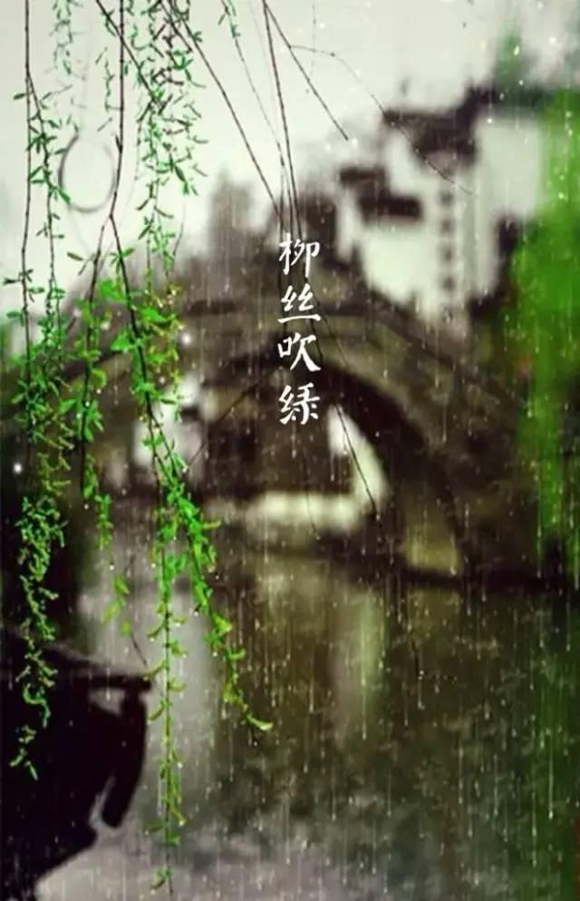 jiaming521's tweet photo. 千年宋词，最美在春天 https://t.co/zjicQuTn5w
