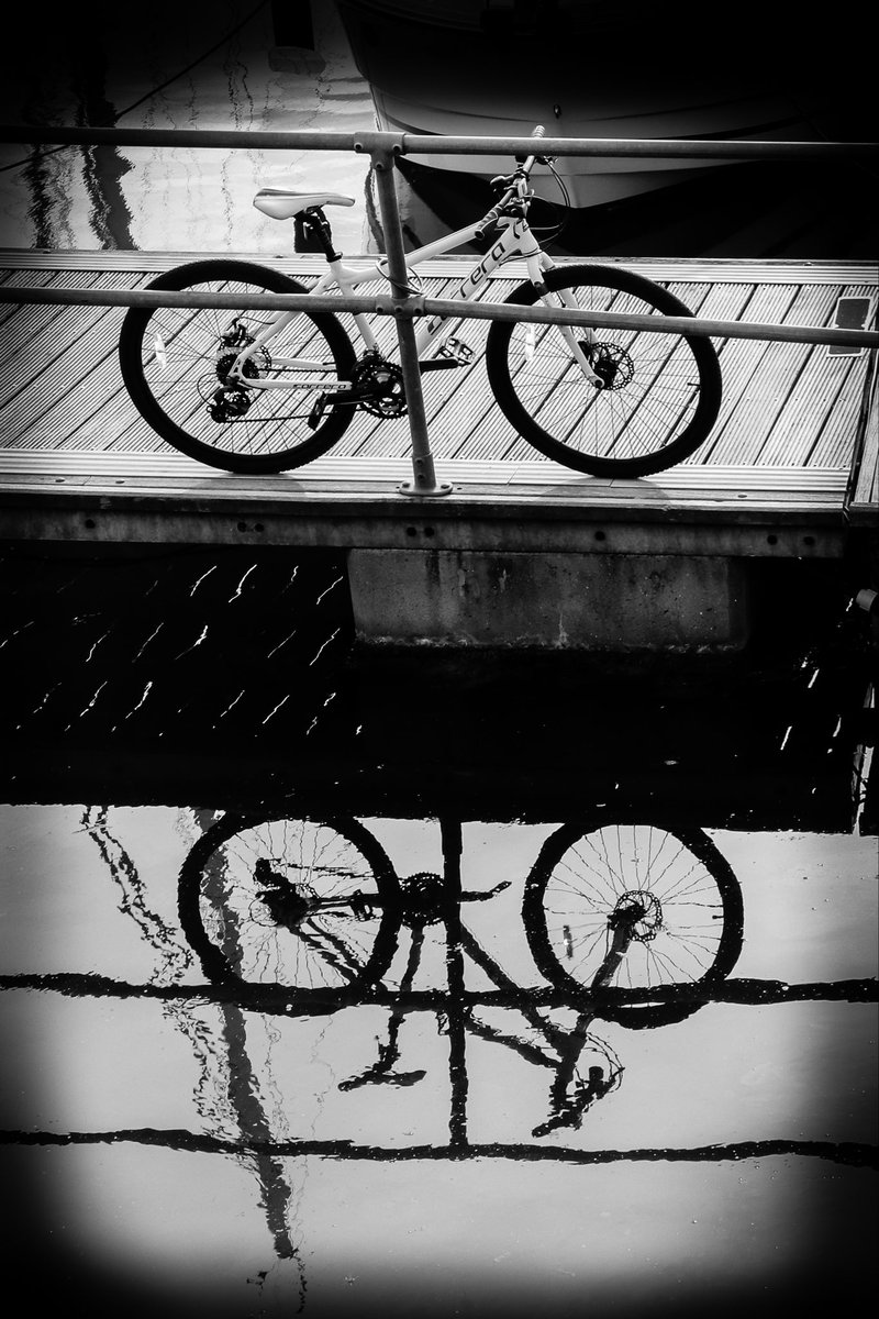 Good morning everyone ☀️🎈

Have a beautiful day