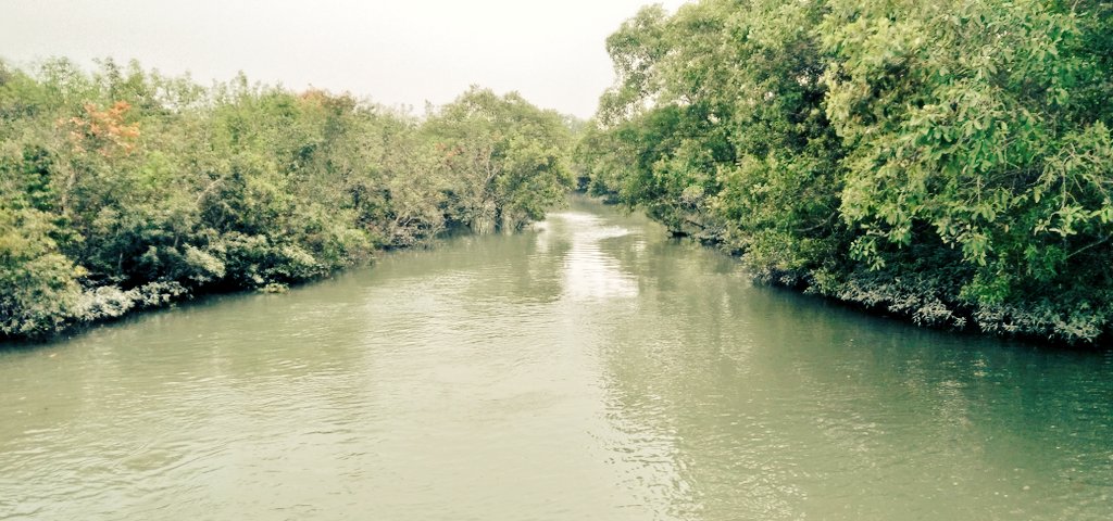 MdLifaz's tweet photo. #Sundarban #Bangladesh natural beauty in our country 😍 https://t.co/71ws7O16LK