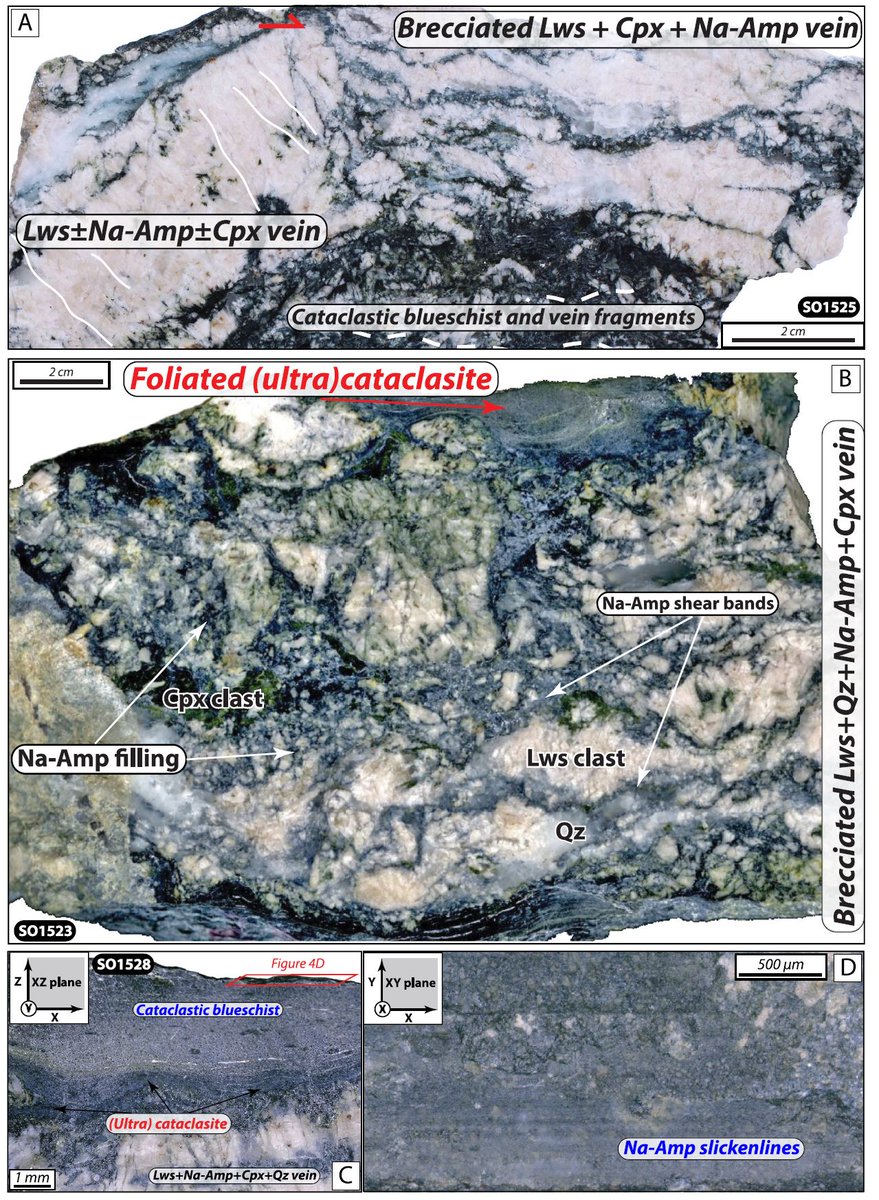 New paper in #Tectonics about @subduction #deformation in blueschists, glaucophane and metamorphic veins. This is the first report of (ultra)cataclastic localized shear bands formed at conditions compatible with Slow Slip and Tremors (or ETS). #OpenAccess agupubs.onlinelibrary.wiley.com/doi/full/10.10…
