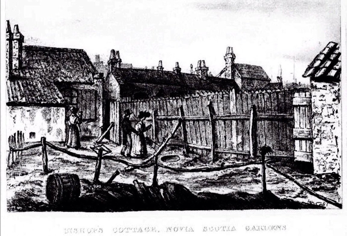 The_East_End tweet picture