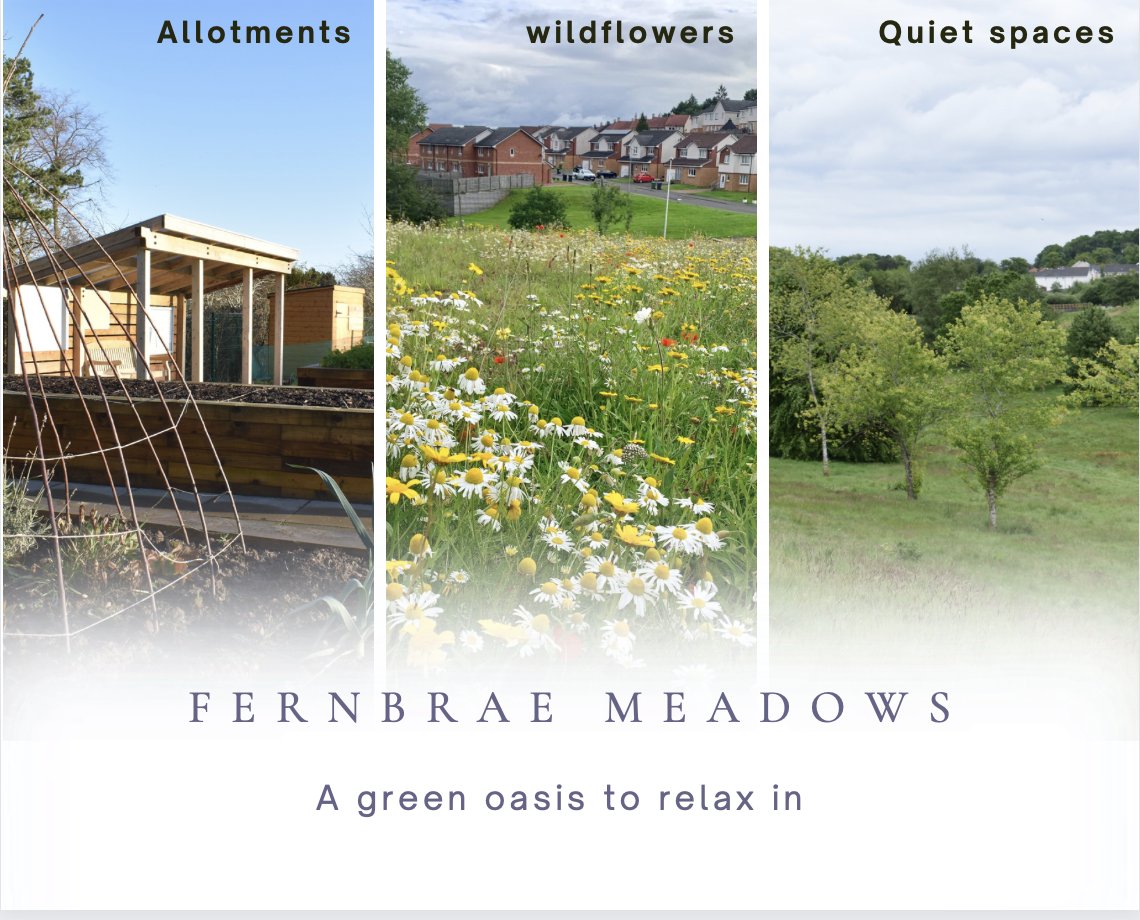 Green Infrastructure Scotland tweet media