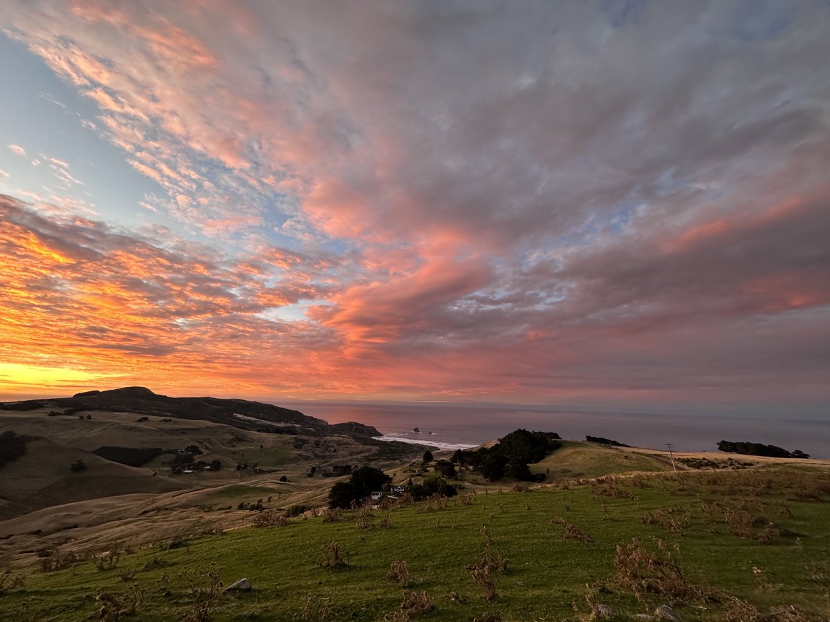 prahda83's tweet photo. One of the most beautiful sunrises of my life so far.

#Dunedin, #NewZealand 

#Homeland #Neuseeland #NouvelleZelande #더니든 #뉴질랜드 #ダニーデン #ニュージーランド #但尼丁 #紐西蘭 #Heaven #Paradise #View #DunnerStunner #Nature #DestinationNZ #Sunrise https://t.co/0ogHLEWHBQ