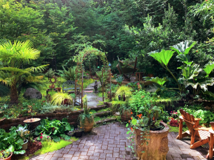 SoliventOficial's tweet photo. ¿Sabías que tu jardín puede ser un lugar sostenible y respetuoso con el medio ambiente? Con algunos cambios simples, puedes crear un espacio que sea hermoso, saludable y que también beneficie al planeta.En Solivent Paisatges, creemos en la...seguir leyendo https://t.co/Oxf3ruIcXj https://t.co/y9OyP9nvXJ