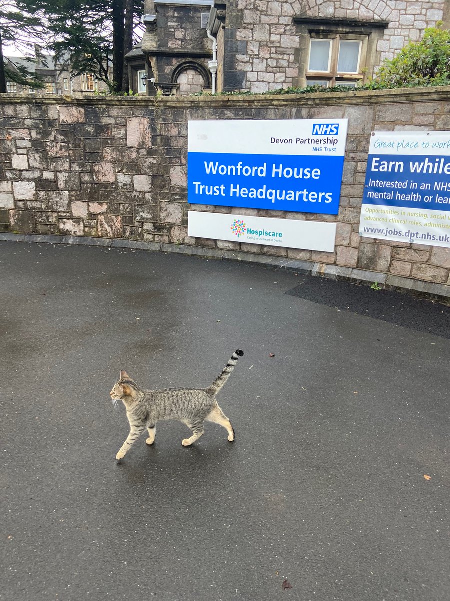 LindsayOTExe's tweet photo. When your cat follows you to work… 😩 https://t.co/RZyvExx7Ji