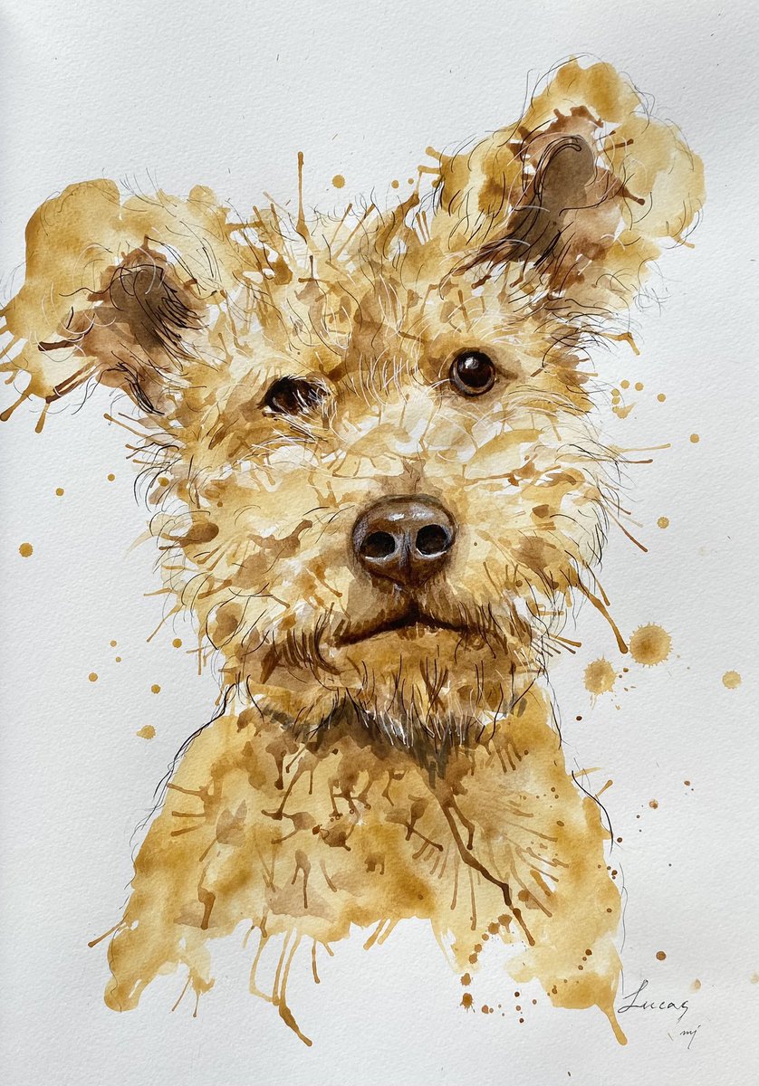 Lucas

The reason I love to draw dogs is they have the most captivating expressions on their face. 

#dogart #dogoftwitter #dogportrait 
Instagram @chellejung_draws