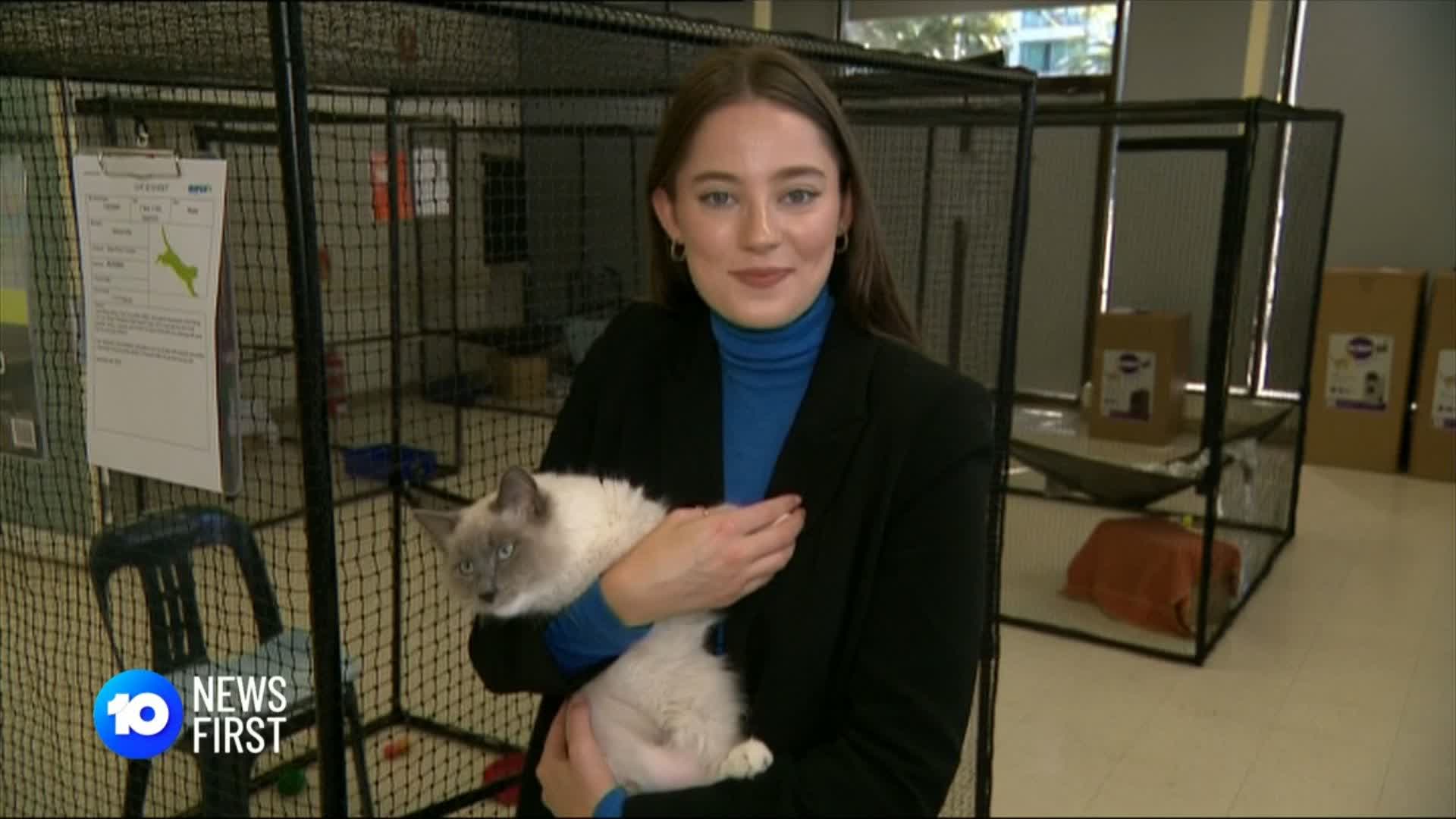 10 News First Adelaide on Twitter ". rspcasa is opening a new