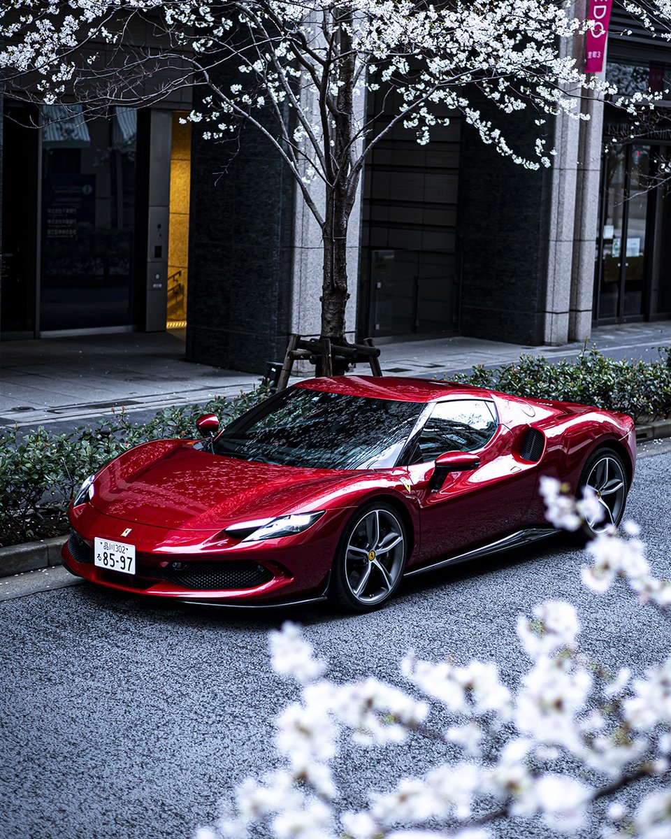 Ferrari's tweet photo. The cherry blossom time of the year in Japan has arrived: it’s time to take a ride.
Immerse yourself in the magic of #Tokyo in full bloom with the #Ferrari296GTB.  
Credits to @FerrariJPN. 
#Ferrari #Hamani #花見 https://t.co/WlB7HgZ5to