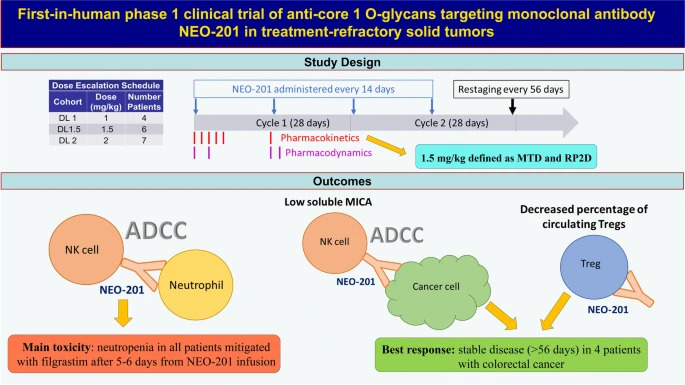 📢New issue now online!

First-in-human phase 1 #clinicaltrial of anti-core 1 O-glycans targeting #monoclonalantibody NEO-201 in treatment-refractory solid tumors

Enjoy🍹
jeccr.biomedcentral.com/articles/10.11…

#Immunotherapy
#Glycosylation
@IREISGufficiale