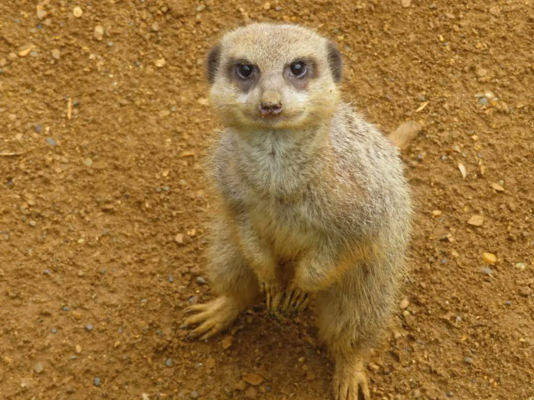 Kit D 💎😷🇺🇦 #BusyLivingWithMets tweet media