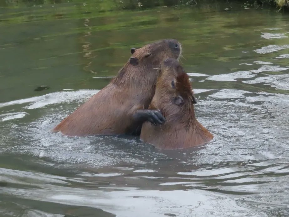 Kit D 💎😷🇺🇦 #BusyLivingWithMets tweet media