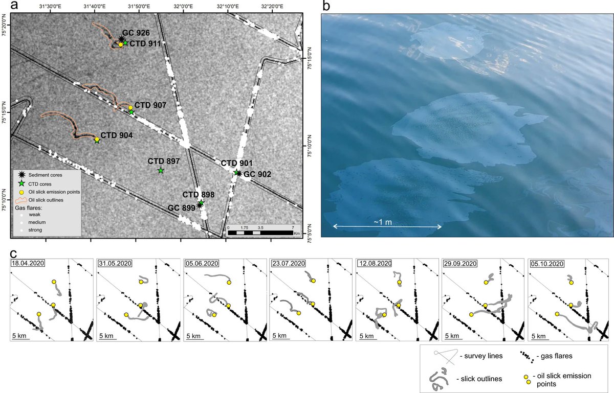 One of the most active sub-marine #methane release hotspots globally has been discovered in the #Arctic.

Our paper in <a href="/NatureComms/">Nature Communications</a> shows how glacial erosion and geology control the natural leakage of this fossil gas and oil in the #Barents sea. 

👉 doi.org/10.1038/s41467…