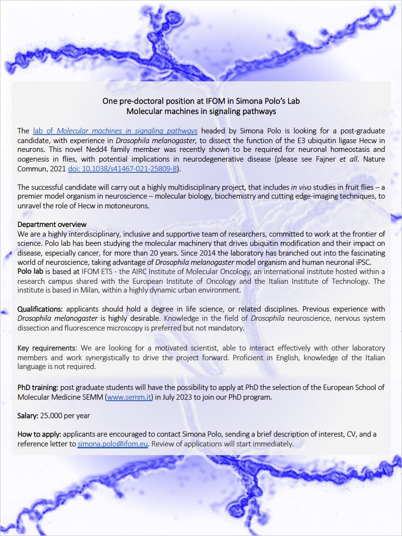 Interested in exploring a novel #E3ubiquitinligase in #fruitflies’ nervous system?
1 pre-doc position in <a href="/polosimona1/">Polo Lab</a> Lab with possibility of PhD in September2023.
Multidisciplinary project combining the power of in vivo model, molecular biology &amp;cutting edge-imaging. Plz RT