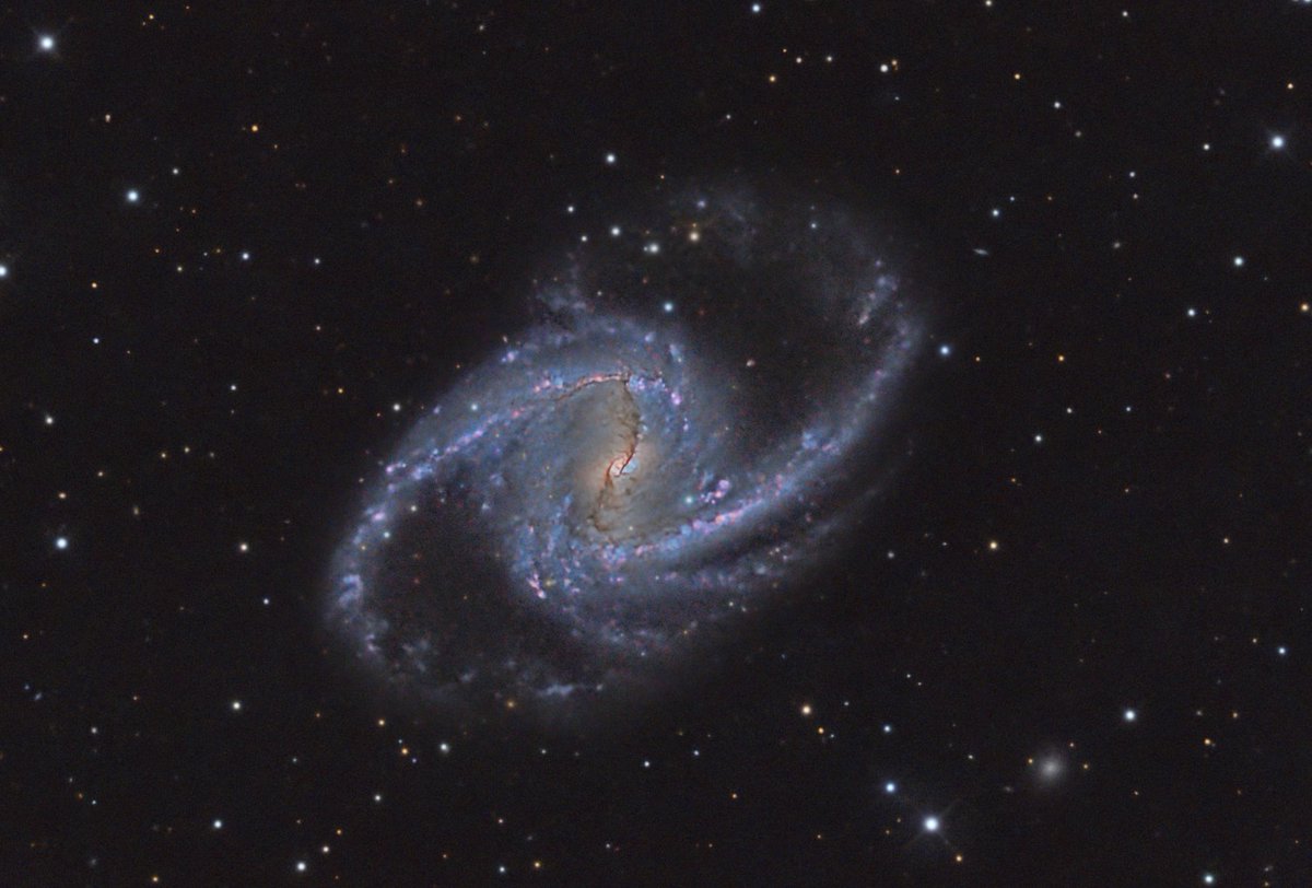 noodle1031's tweet photo. ngc 1365
rework using new tools
#astrophotography , #pixinsight , #BlurXTerminator, #StarXTerminator, #NoiseXTerminator, #starnet2, https://t.co/jEY6wsHjCu