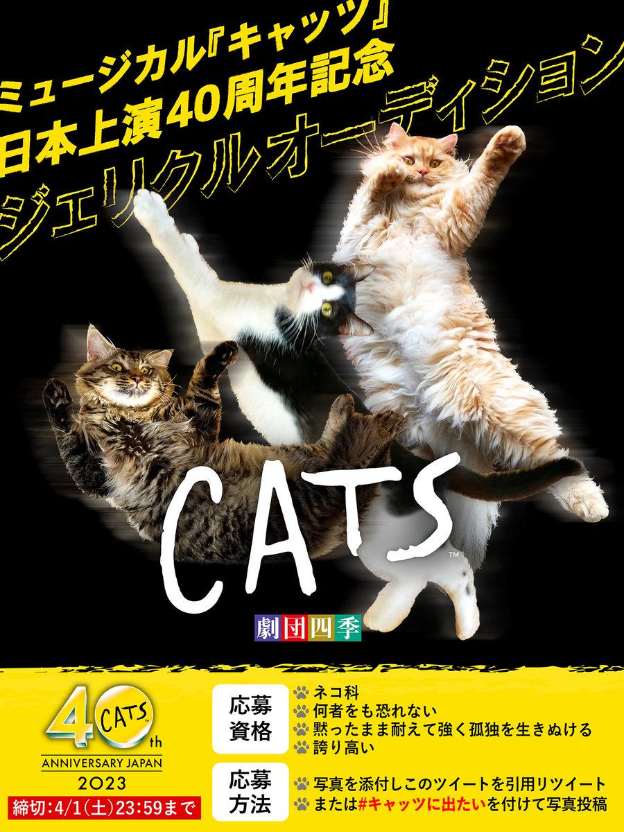 誇り高き猫です！
何者をも恐れません！（お客様へのご挨拶できます）
孤独に耐えられます！（お留守番は2時間まで）
マンカストラップ兄さんの弟子にしてくださいっ！！

#キャッツに出たい 
#エイプリルフール  