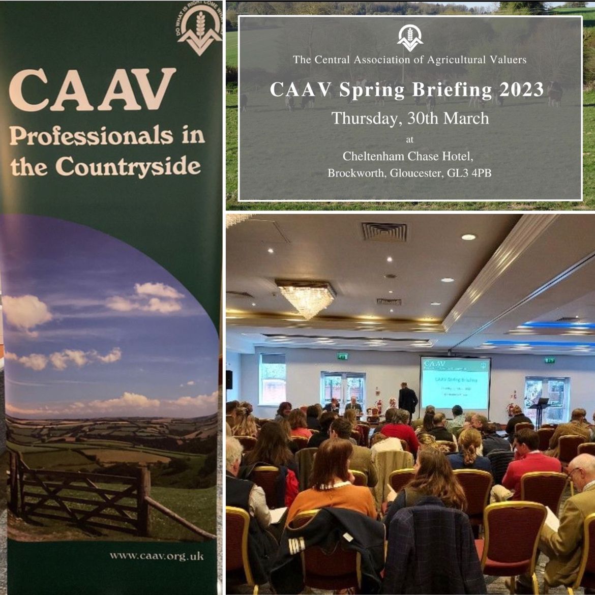 Mather Jamie tweet media