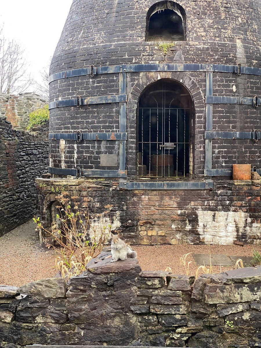 Morning posing #bottleoven #squirrel #nantgarw