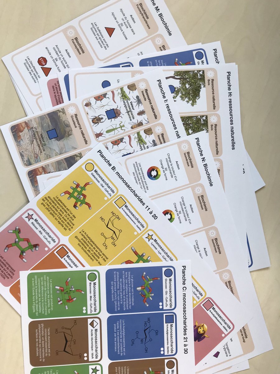 BattleGlyco - our educational Glycoscience card game - fresh off the printer 🎉 
#glycotime #glycofun #battleglyco 
Glycotesters, reach out ! 😉