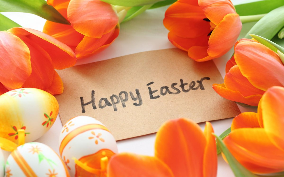 Hazel Oak will be closed from Monday 3rd April 2023 to Friday 14th April 2023 for the Easter Holidays.