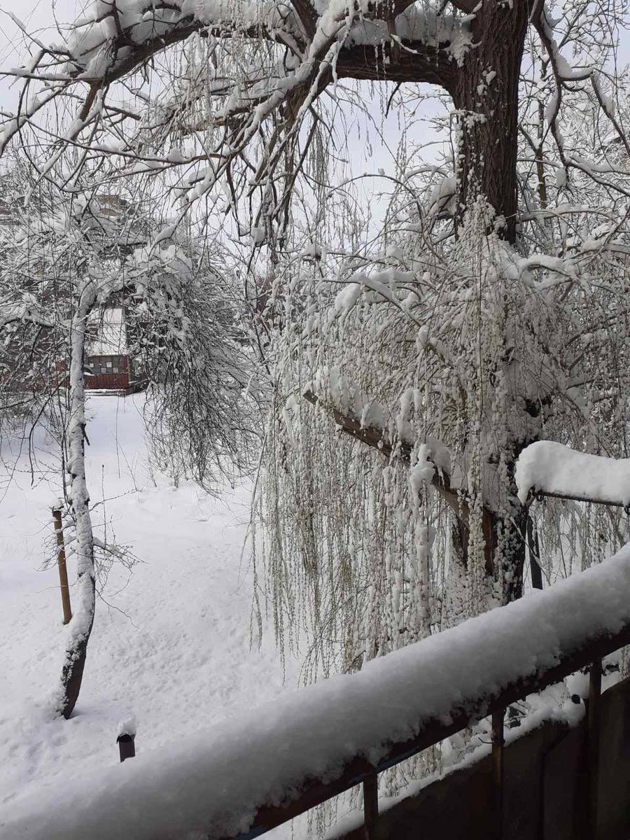 scythikh's tweet photo. @Me_of_EE Pokrovs, Donetsk Oblast now 🥶 https://t.co/XklqymRBqm
