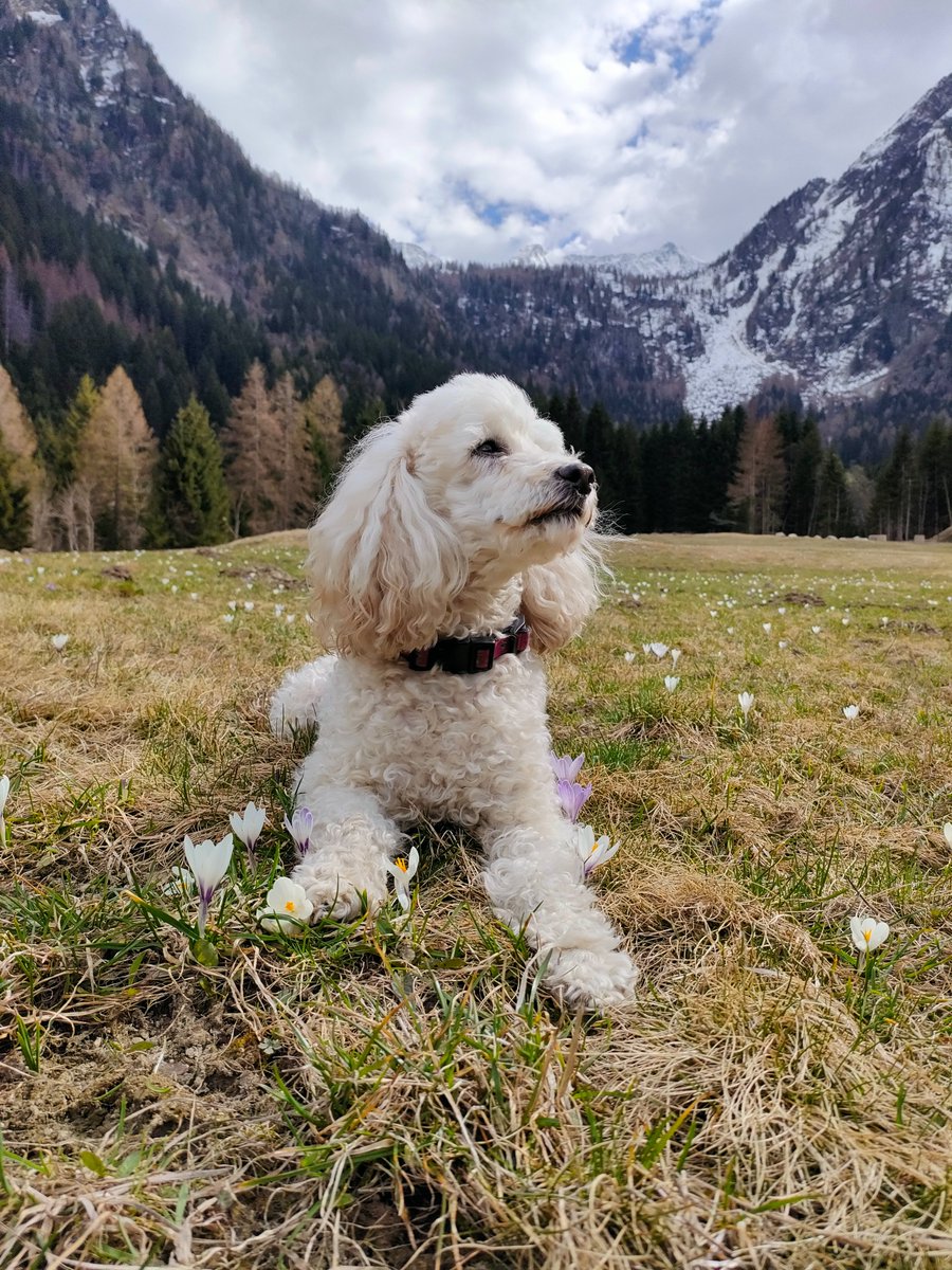 Marzo sta finendo e aprile è nei cieli 🫠... solleviamo lo sguardo col sorriso negli occhi sperando  ci regali un po' di pioggia 🌦 !!