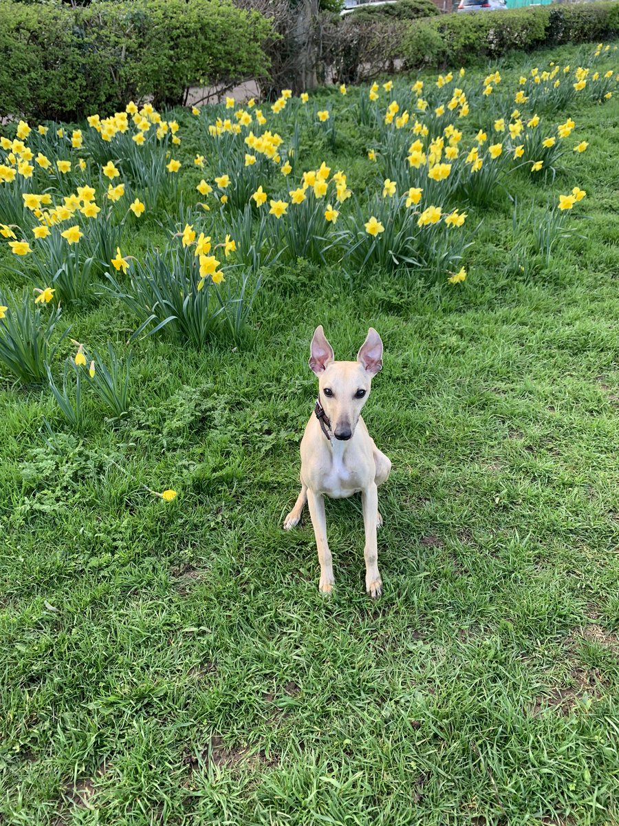 Dolly Barton 💙 tweet media