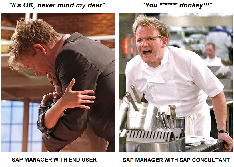 #sap #sapmemes #consultinglife #fridayfun