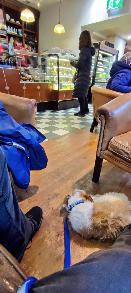 Firesnapper999's tweet photo. Good morning folks, wet start to the day. Good job there's free waterproofs with every Jack Russell Terrier!π€£ Limp to bus stop, then in to Halifax for #DecaffResus. Powerbank failure, so back up from camera sac deployed. Have a great day folks, you made it to the weekend.π https://t.co/ODSrqZJFEh