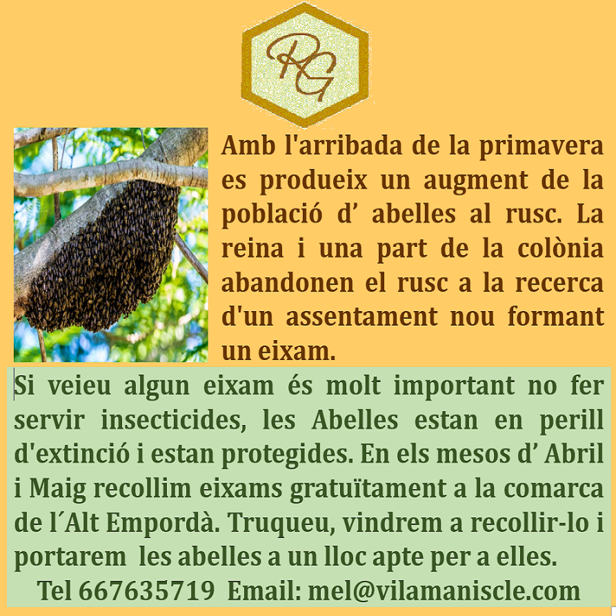 Mel Ribera Gironell (@ribera_mel) on Twitter photo 