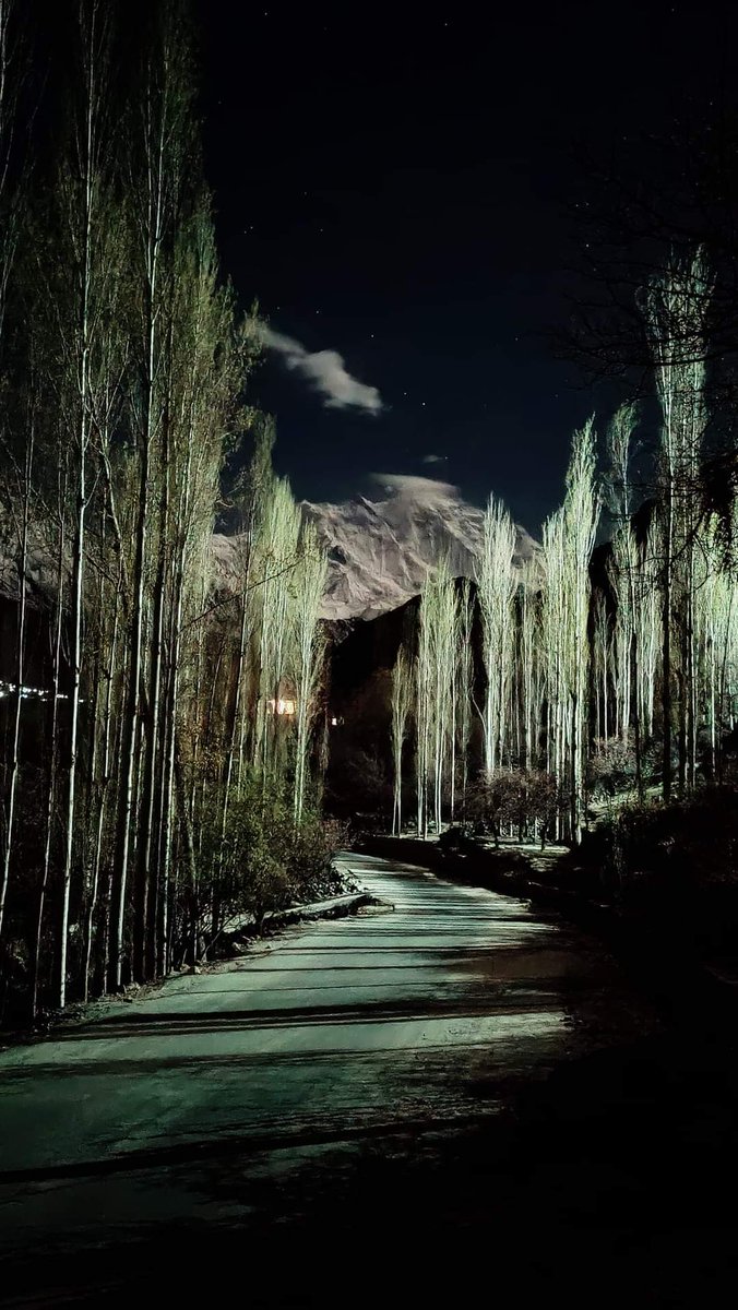 azeem_hunzai's tweet photo. The moonlight night, the shining stars and the clear sky like day at night in the beautiful valleys of Hunza/Nagar.
@The_North_Blood
#Hunza #Nager #HunzaNager #moonlight #SpringBreak #SpringVibes #rakaposhipeak #view #nightvisuals https://t.co/C1pW69DHfZ