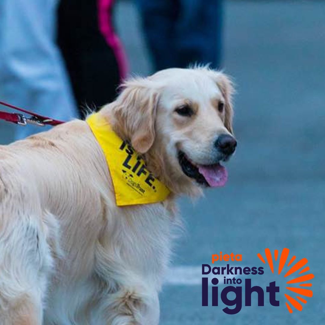 Darkness into Light Belgium tweet media