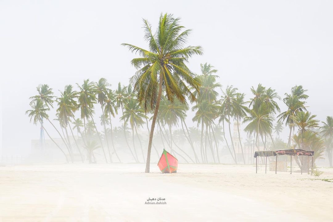 omanspire's tweet photo. Discover the rich diversity of Dhofar Governorate! From its vibrant cultural traditions to its unique demographics and stunning landscapes, this region is a true gem of Oman..,
.
.
By 📸: @adnan_daheesh
.
.
#Dhofar #Oman #CulturalDiversity #GeographicalDiversity #anderlust https://t.co/0mCBf8PMU0