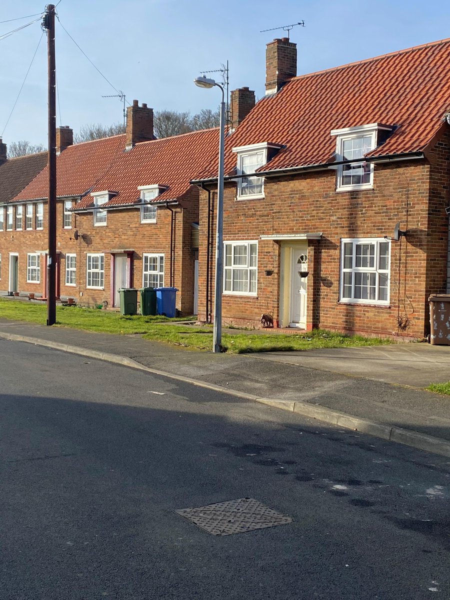geohoulton's tweet photo. Council House Re-roofing Programme:
We are proud to have worked alongside #ERYC for 15 years improving their housing stock
#YORbuild #HoultonPublic https://t.co/MGA5AIdGHv