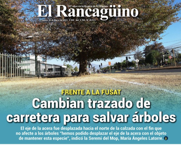 Esta es  una decisión histórica en Chile! Se da prioridad a los árboles frente al hormigón. Es un gran ejemplo de @MOPOHiggins de conciencia respecto del enorme valor de los árboles urbanos. @Orrego @Minvu @FAOChile #NuevaAlameda #arbolesurbanos